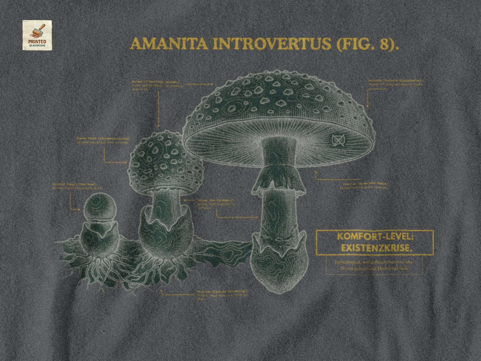 Vintage-inspiriertes asphalt farbenes T-Shirt mit einer detaillierten Kupferstich-Illustration von Fliegenpilzen (Amanita muscaria). Das Design trägt den ironischen lateinischen Titel "AMANITA INTROVERTUS" und beschreibt anatomische Merkmale mit humorvollen denglischen Texten über soziale Erschöpfung, wie "Komfort-Level: Existenzkrise" und "Hidden Anxiety". Ein hochwertiges Dark Academia Graphic Tee für Introvertierte und Studenten.